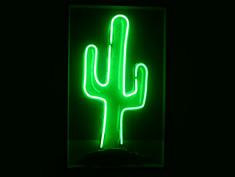 neon cactus hire sign