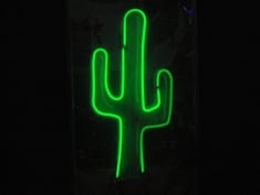 Cactus neon to hire