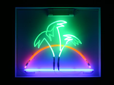 palms and sunset neon sign for hire
